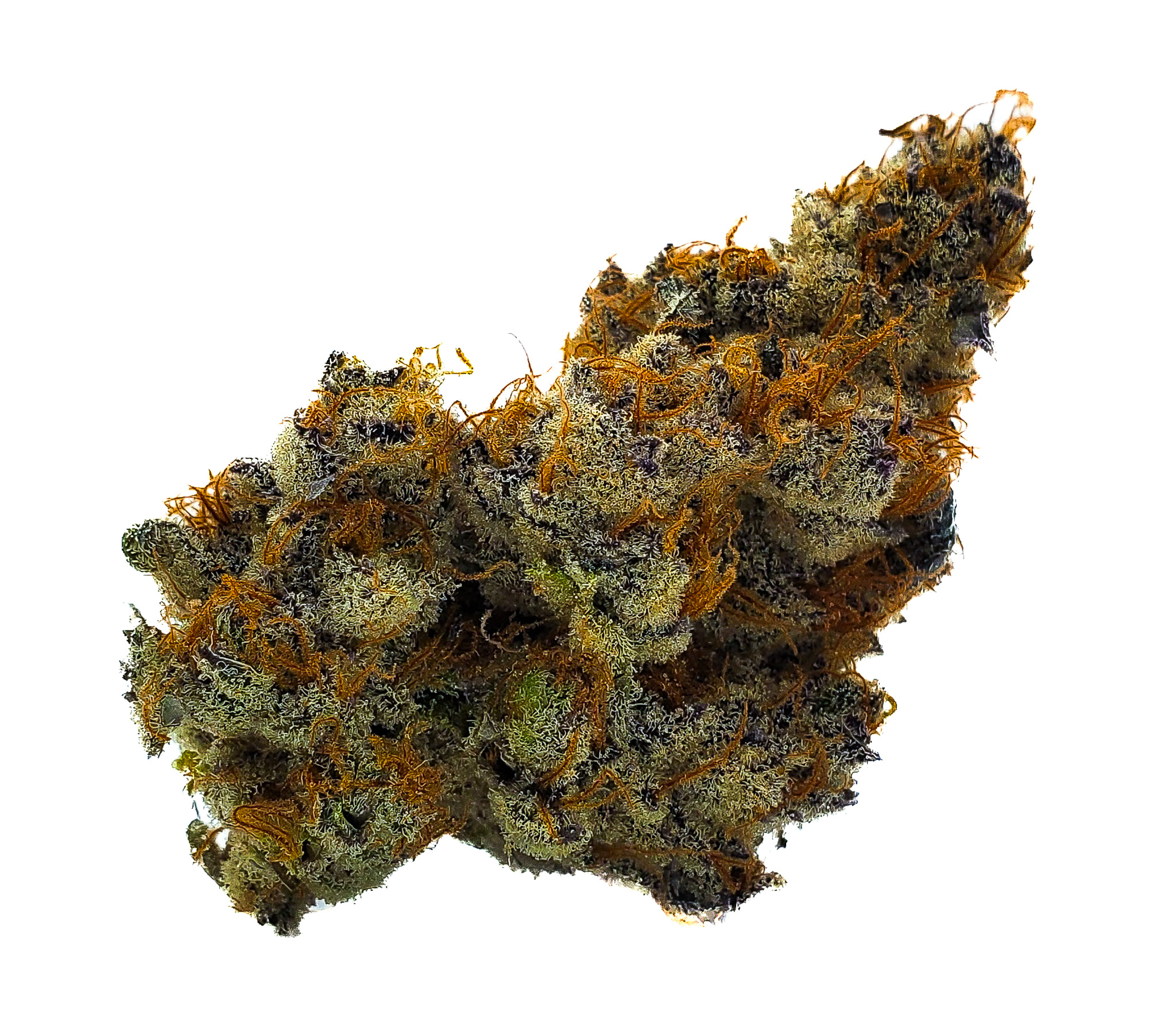Photograph of product: Focus North | Pot Roast - 28g