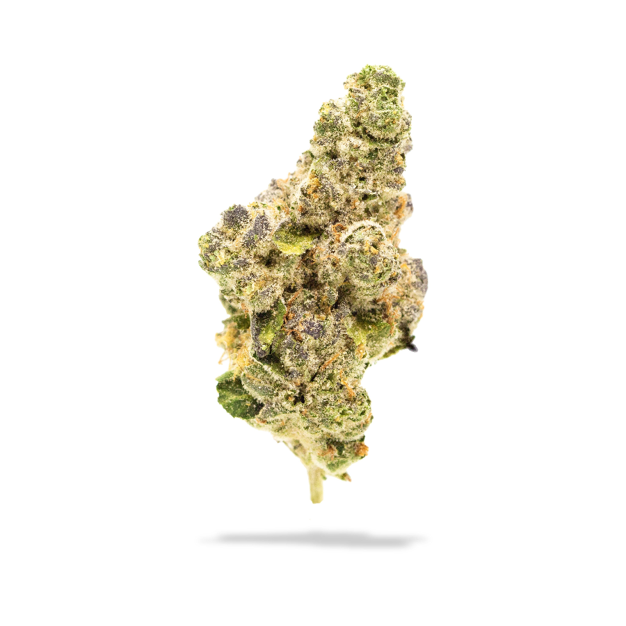 Photograph of product: Glorious | G25 X Do Si Dos Flower - 28g