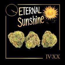 Photograph of product: Eternal Sunshine Flower | 7g - Four20