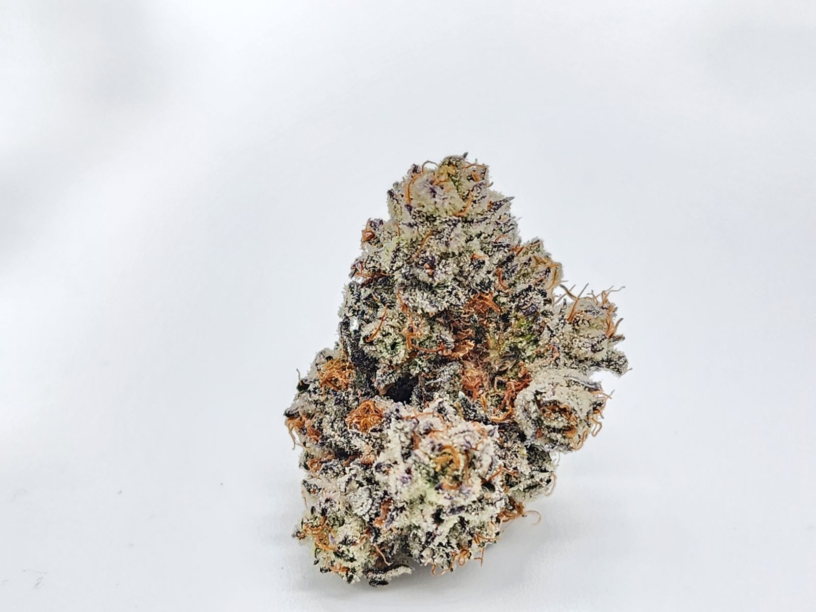 Photograph of product: Mellow Gnome - Trap Trufflez - 14g