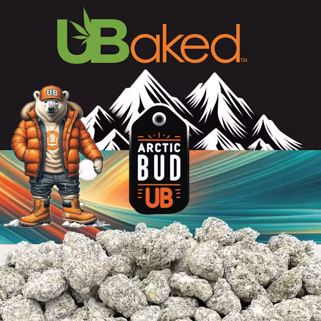 Photograph of product: UBaked Arctic Bud | Chemdawg | 3.5G TH-ouia Isolate Infused Flower