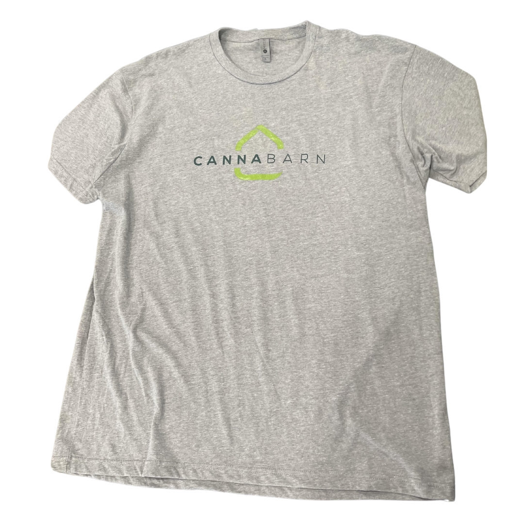 Photograph of product: T-Shirt Grey