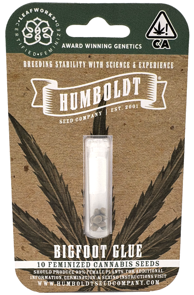 Photograph of product: Humboldt Seed Co | Bigfoot Glue | 10PK Feminized Seeds