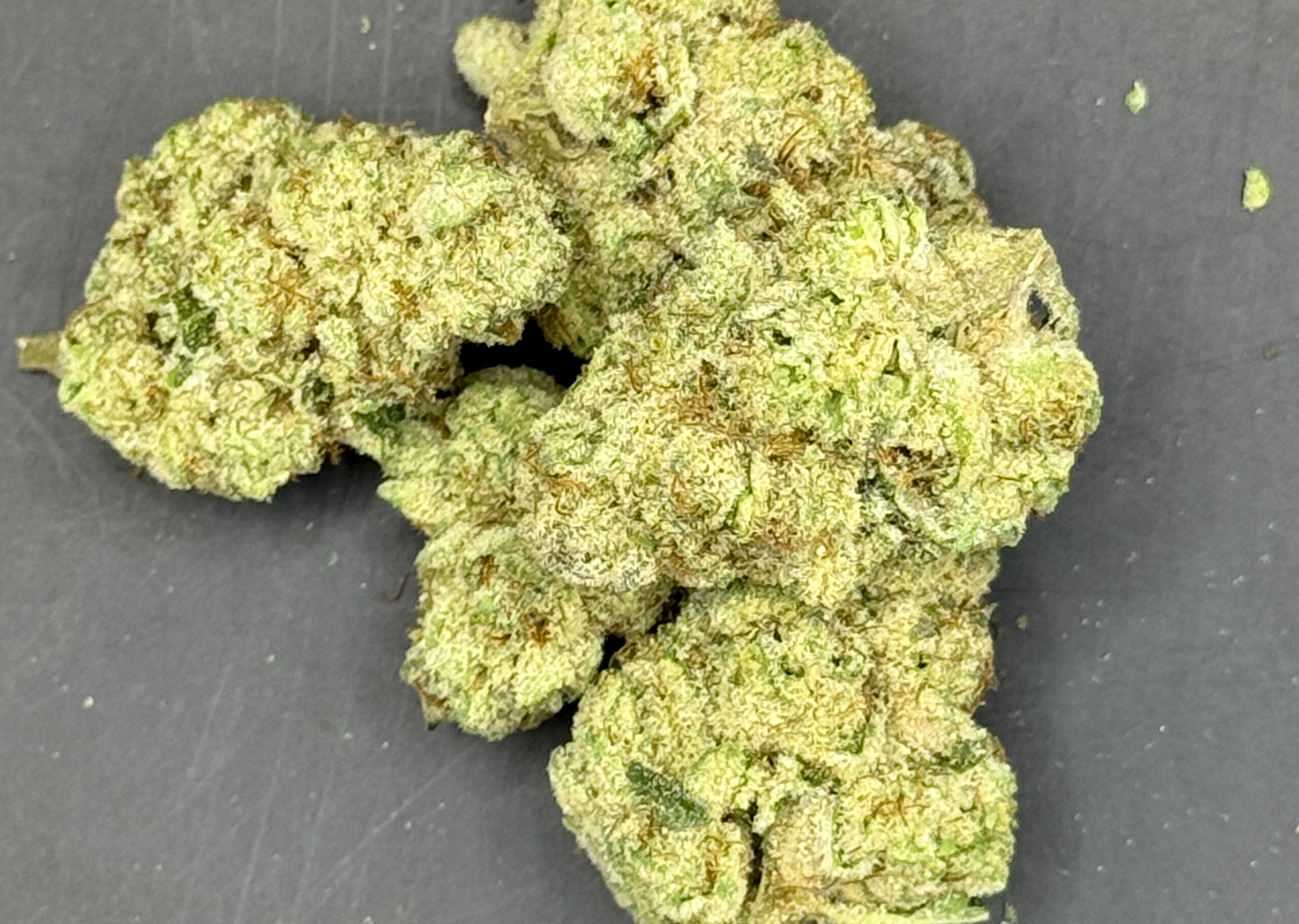 Photograph of product: Echo - Shooter McGavin Flower - 28g