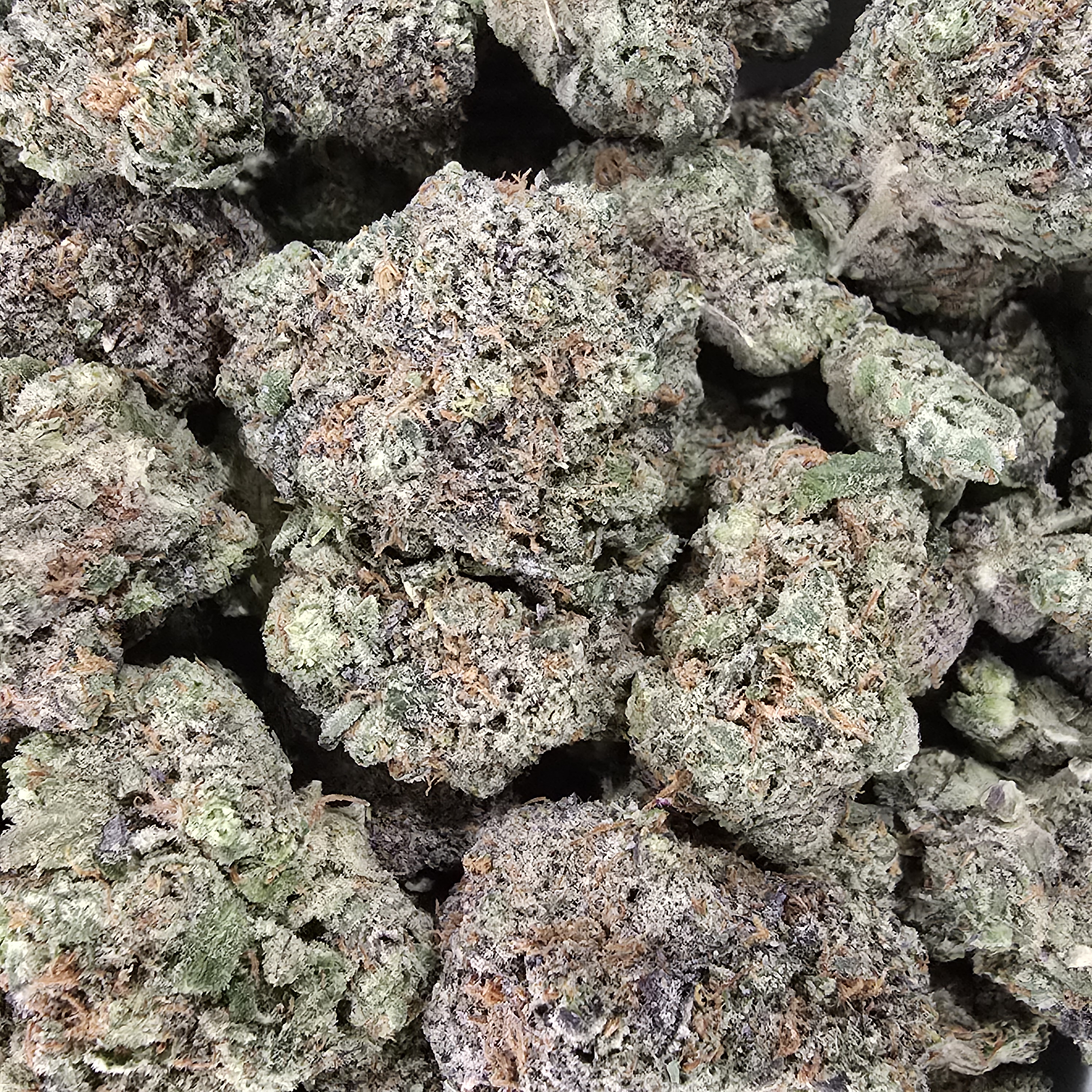 Photograph of product: Grease Monkey - 1g