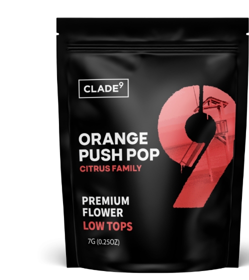 Photograph of product: Clade9 | Popcorn 7g- Orange Push Pop