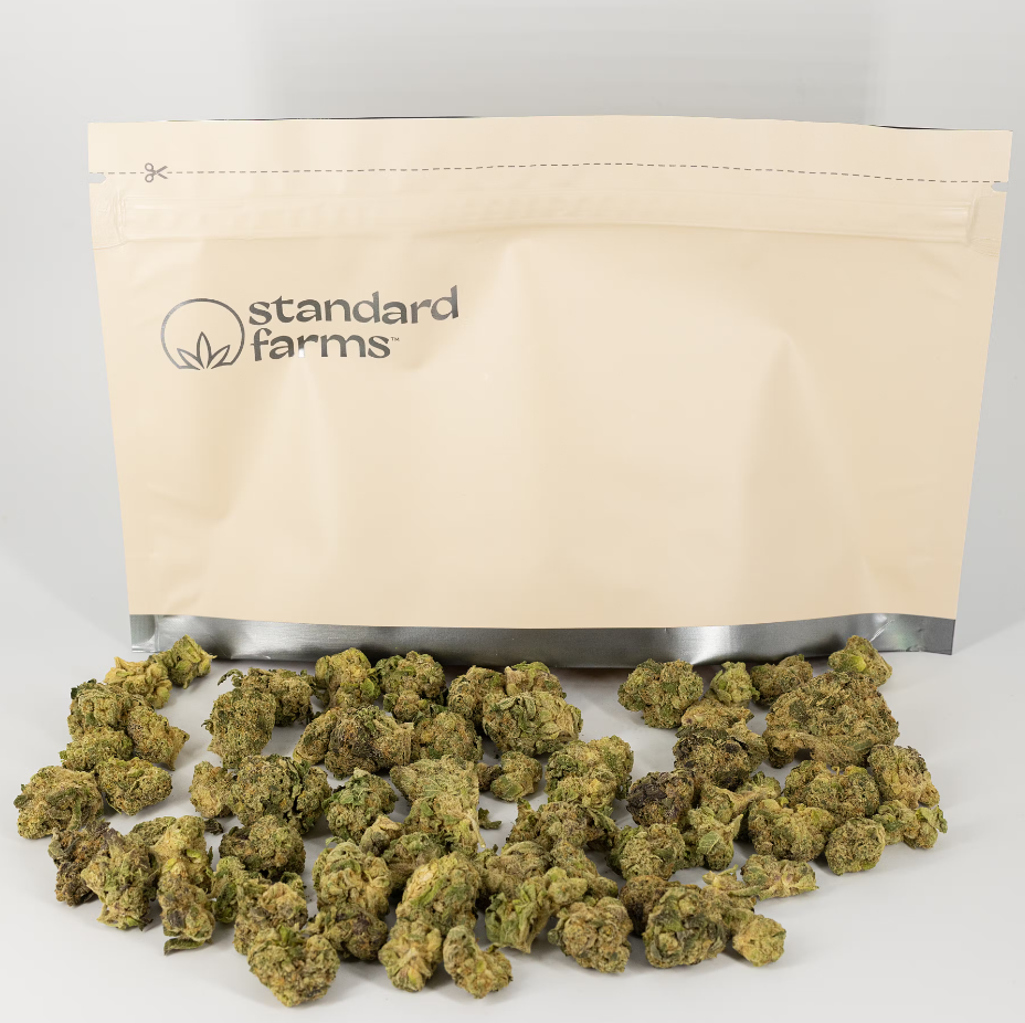 Photograph of product: Raspberry Parfait (S)  28g Flower