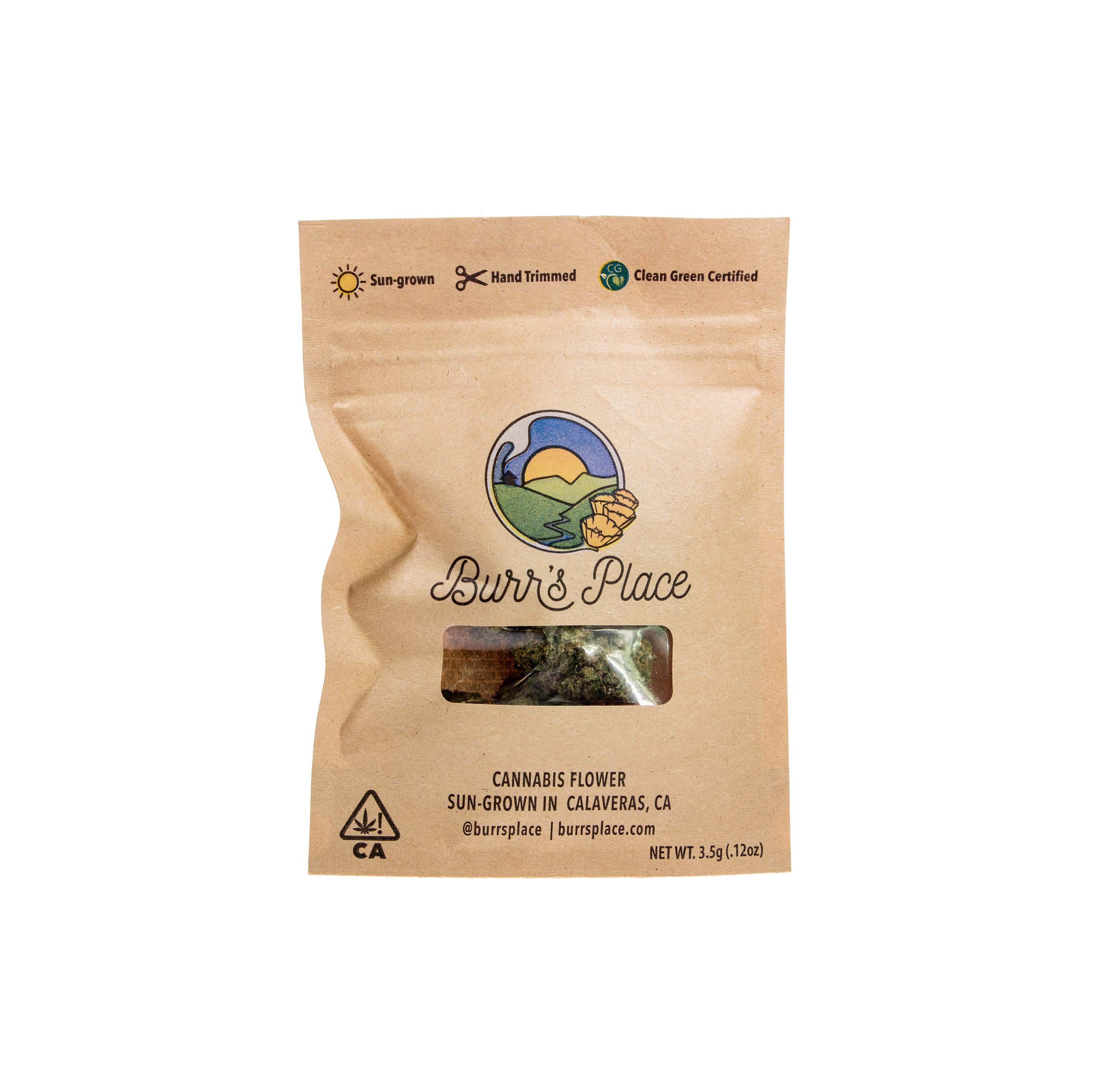 Photograph of product: Blueberry Pancakes (3.5g)