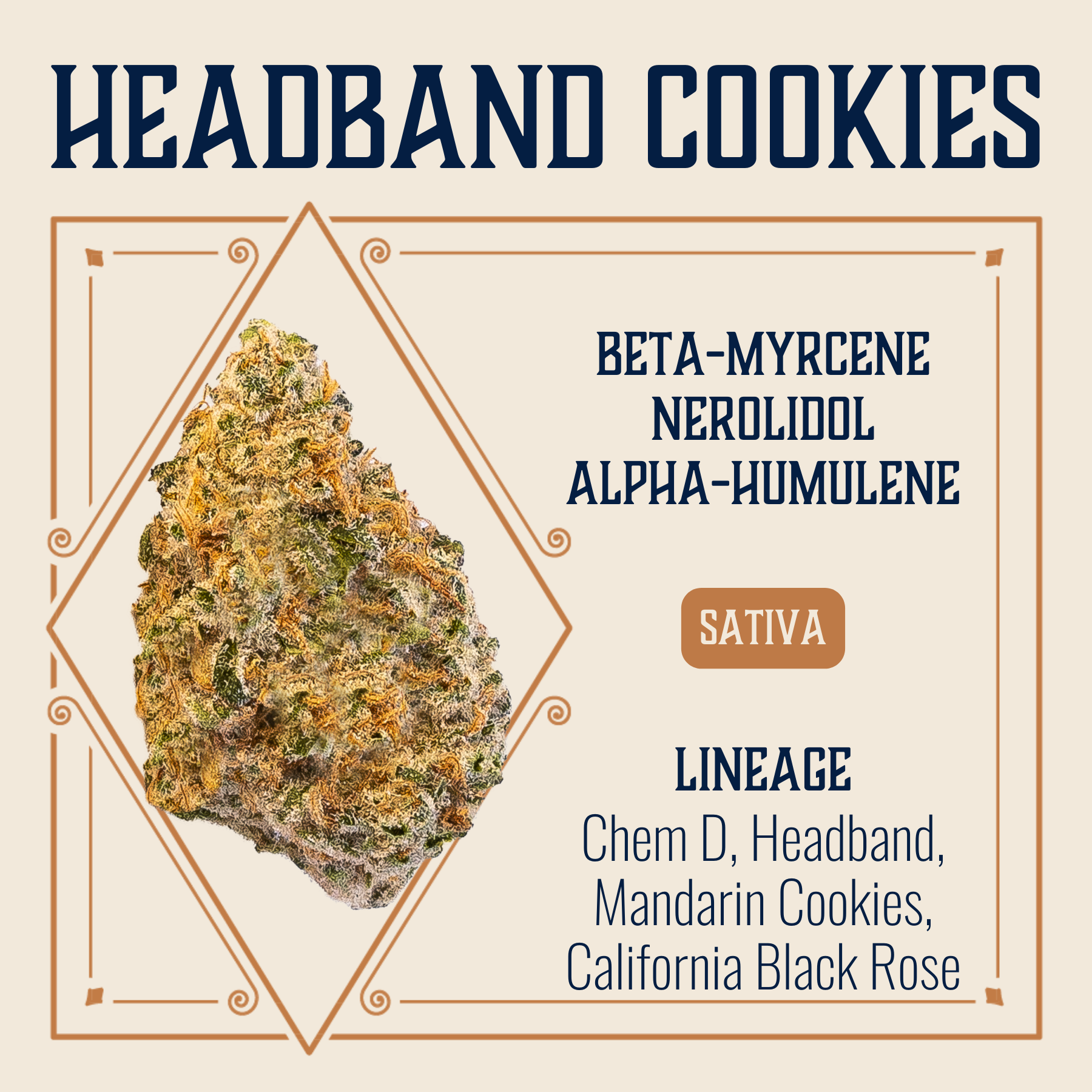 Photograph of product: 3.5g | Headband Cookies