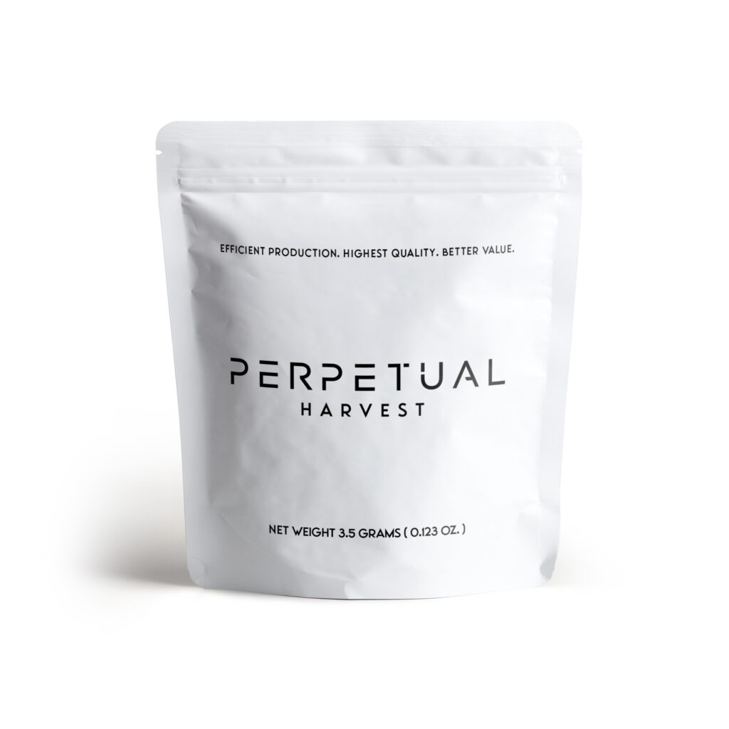 Photograph of product: Purple Gary Poppins (H) 3.5g Flower