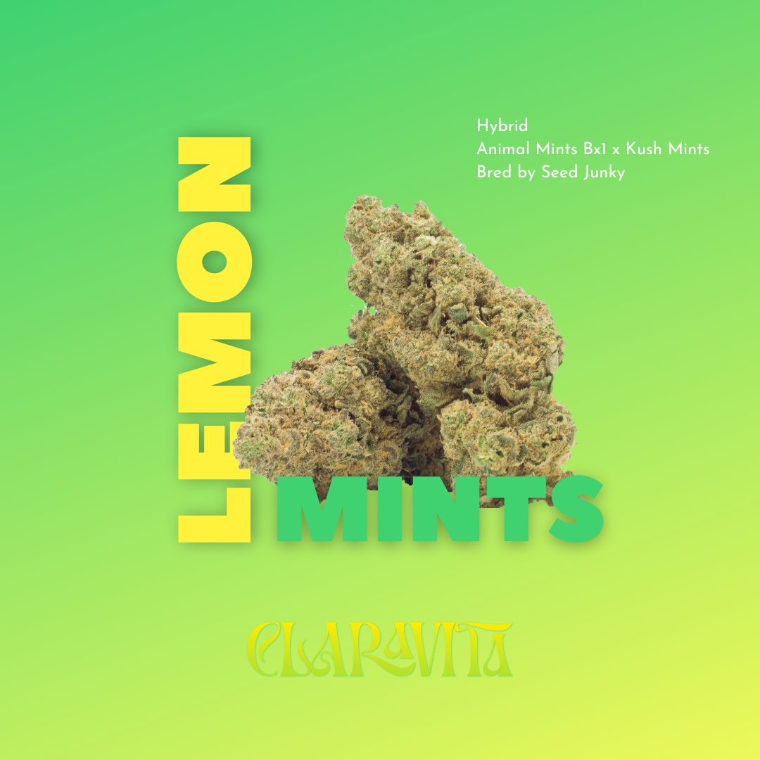 Photograph of product: Lemon Mints (IH) - (3.5g)