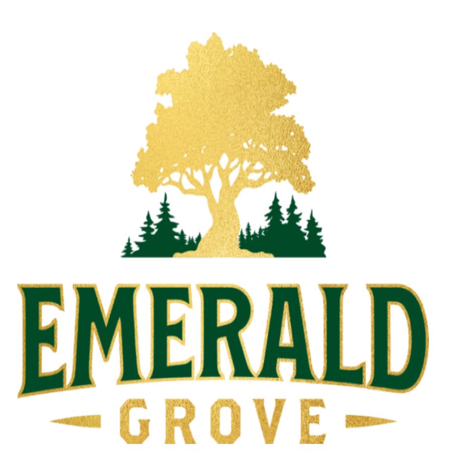 Photograph of product: Button Down | Green | Unisex |