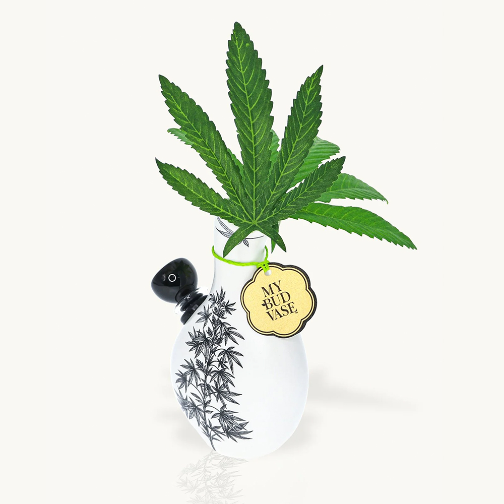 Photograph of product: MBV Bong: Love Bud Vase