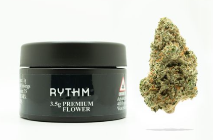 Photograph of product: Rythm: Bananaconda 3.5g (H) 00631
