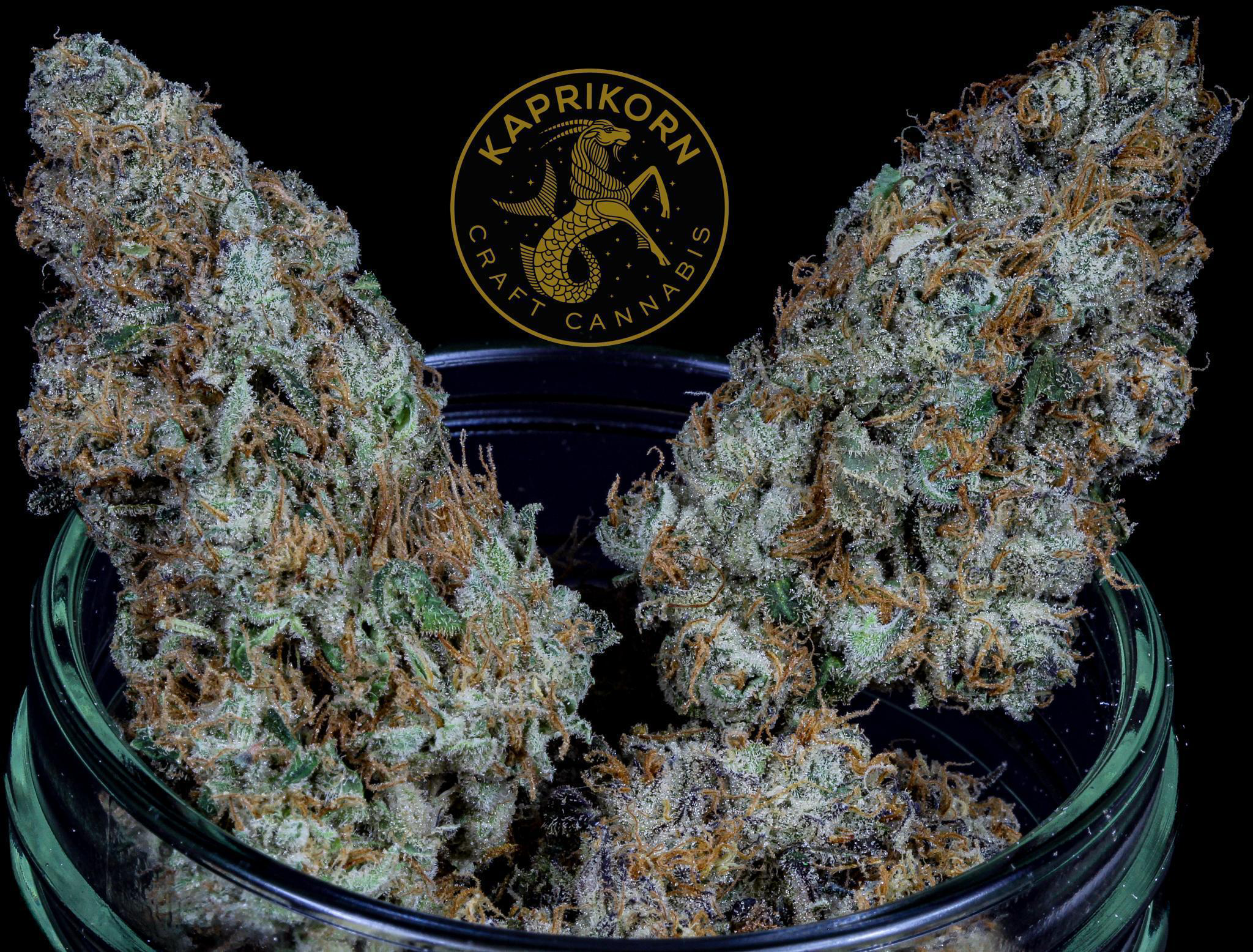 Photograph of product: Mule Fuel (I) - 28g