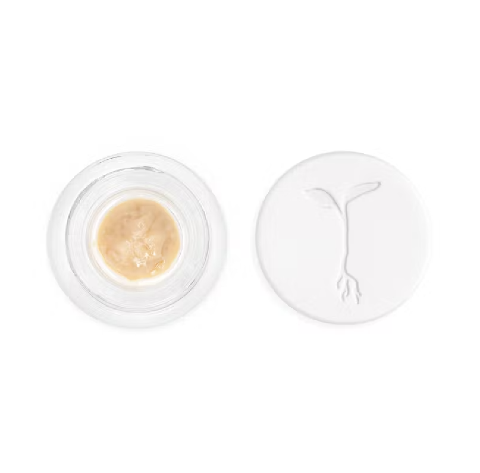 Photograph of product: Raw Garden Live Rosin 1g - Alien OG (H)