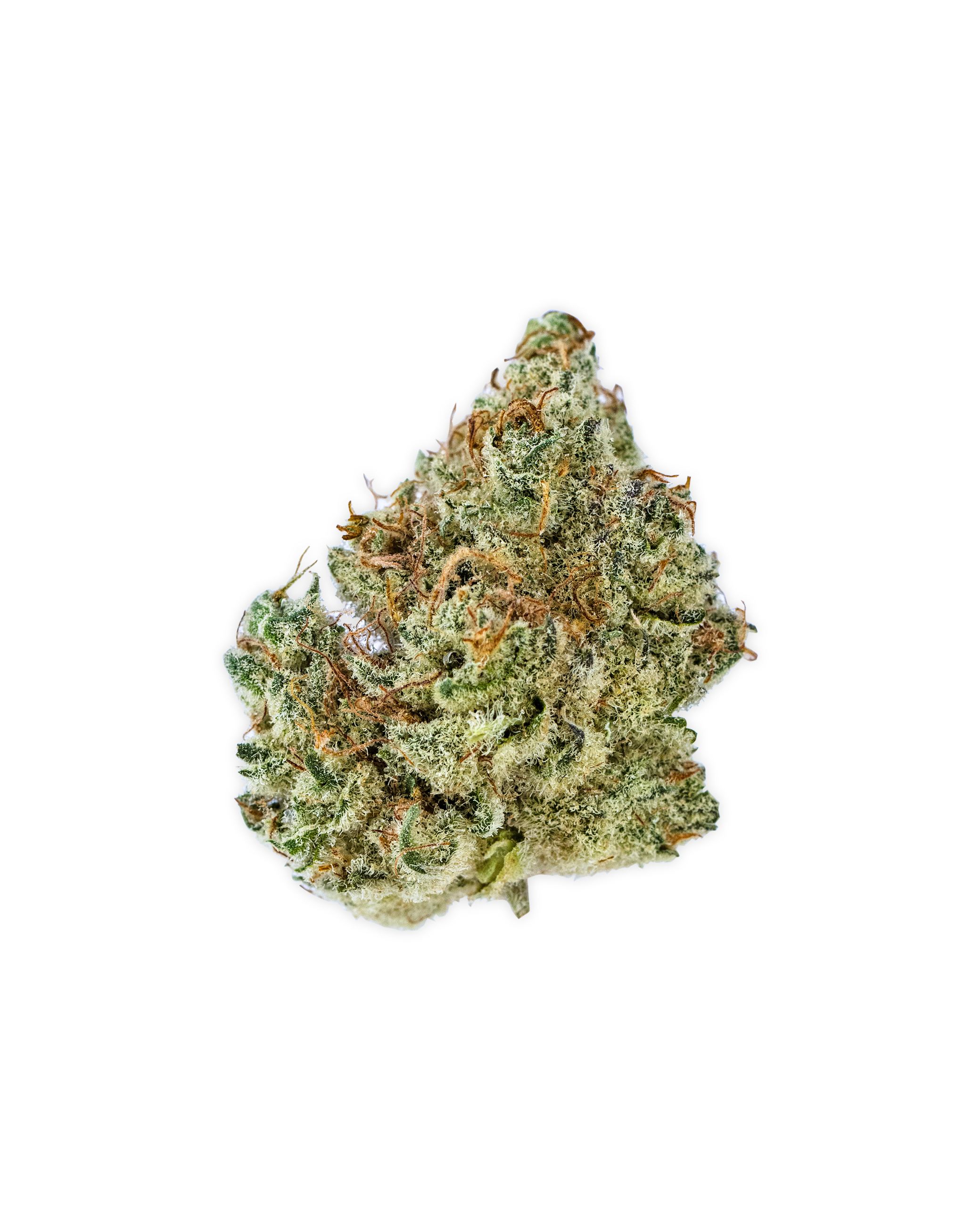 Photograph of product: BLUE GUAVA | 3.5 g - 3.5g
