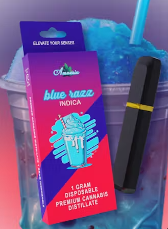 Photograph of product: Blue Razz | Disposable 1g (Special)