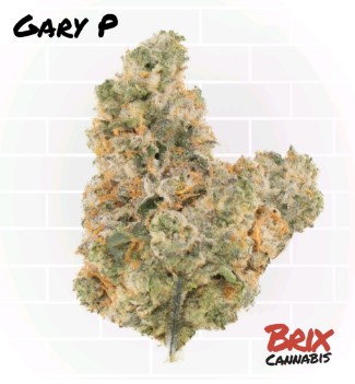 Photograph of product: Brix Oui'd Whole Flower Gary P (H) 00289 (AU) - 3.5g