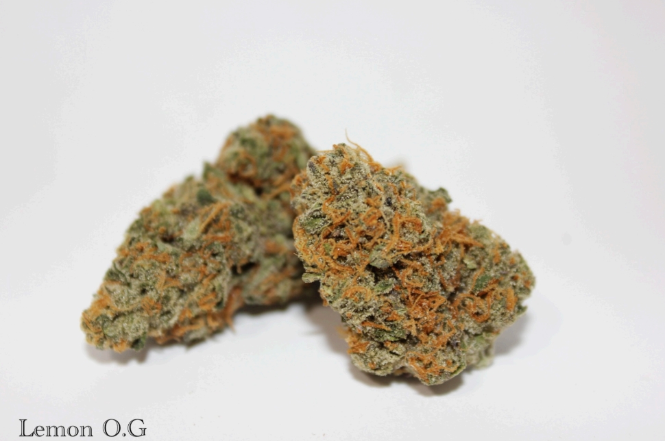 Photograph of product: Roemer Farms - Lemon OG Haze - Flower - 3.5g
