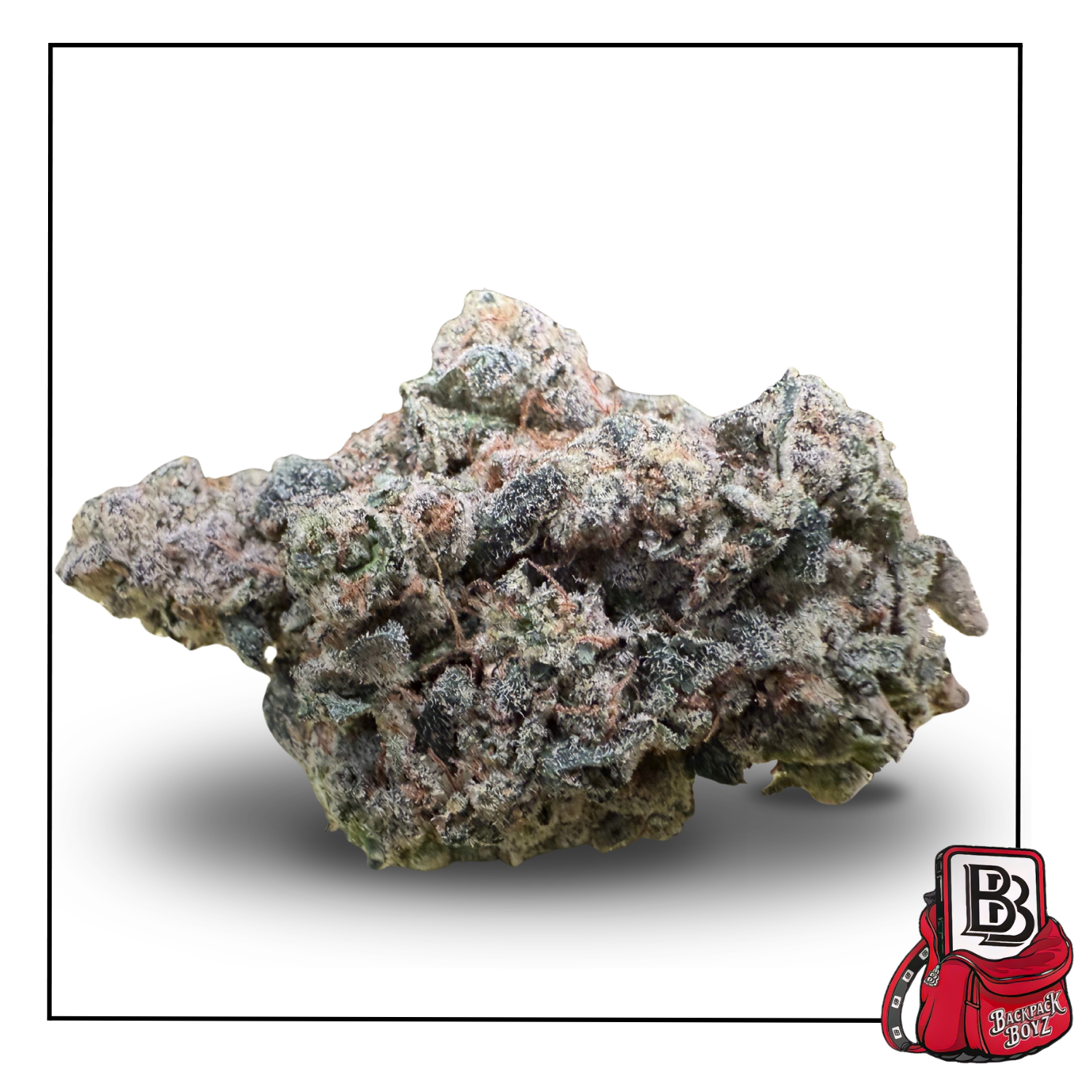 Photograph of product: LA Pop Rocks x Purple Push Pop - Bulk Flower - 28g