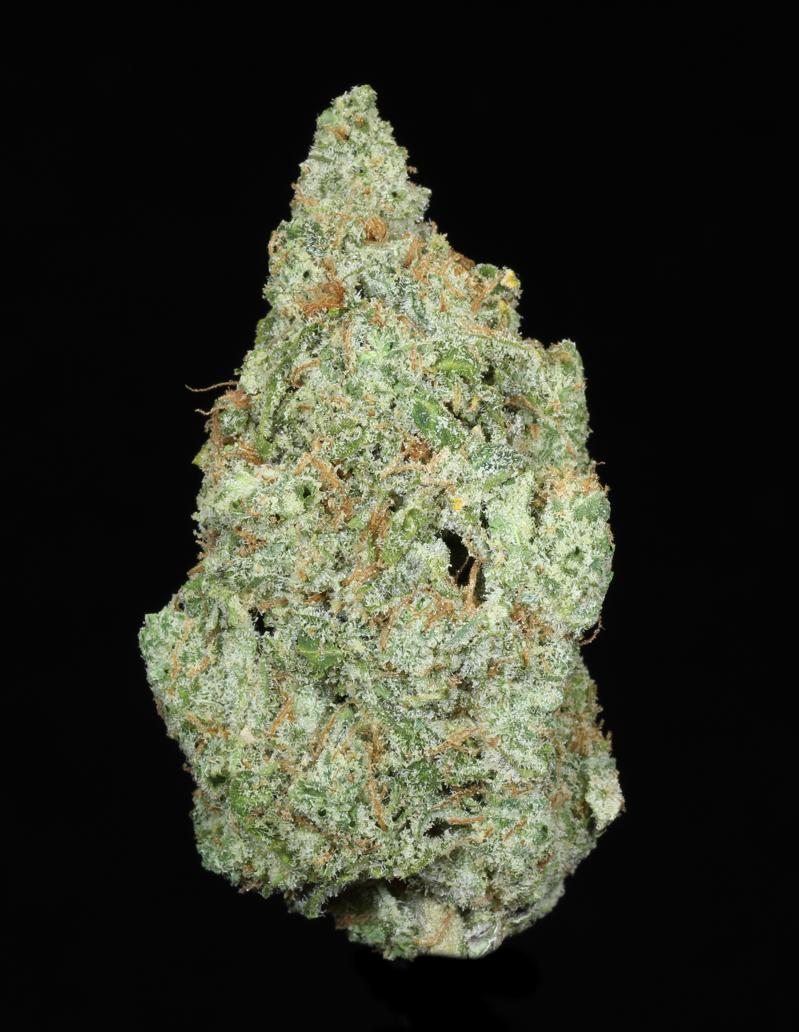 Photograph of product: Lemon Ice Pucker (26.58% TH-oui)