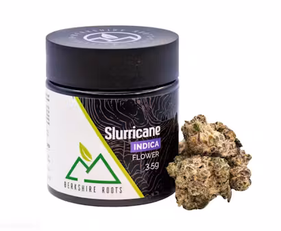 Photograph of Product: Slurricane (I) | Flower | 3.5g