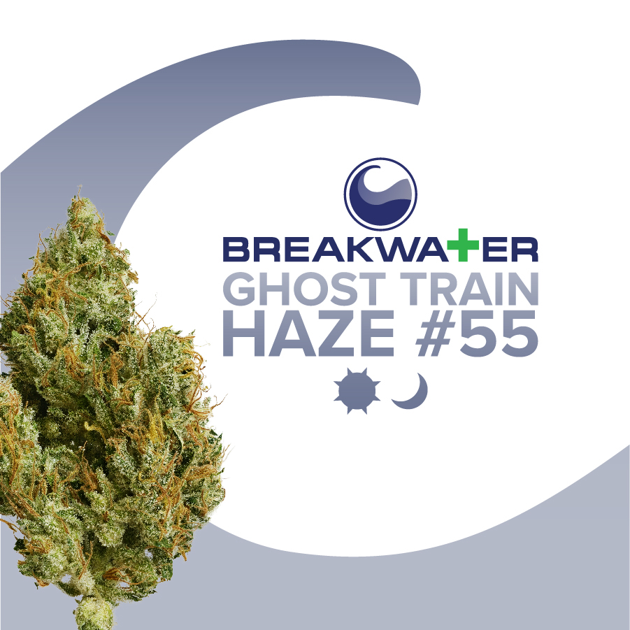 Photograph of product: Ghost Train Haze #55 - 7g
