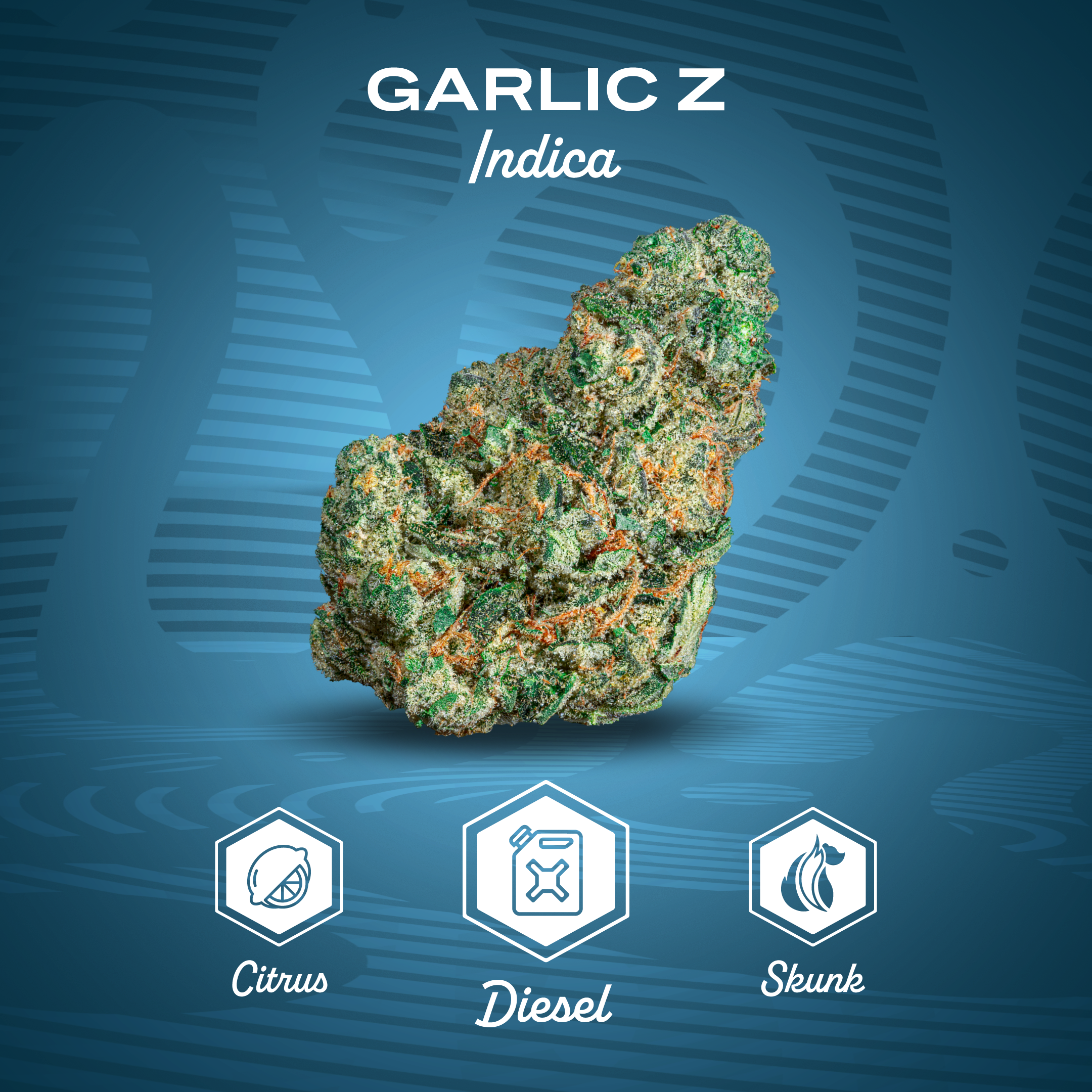Photograph of product: Flower | Mission | Garlic Z - 3.5g