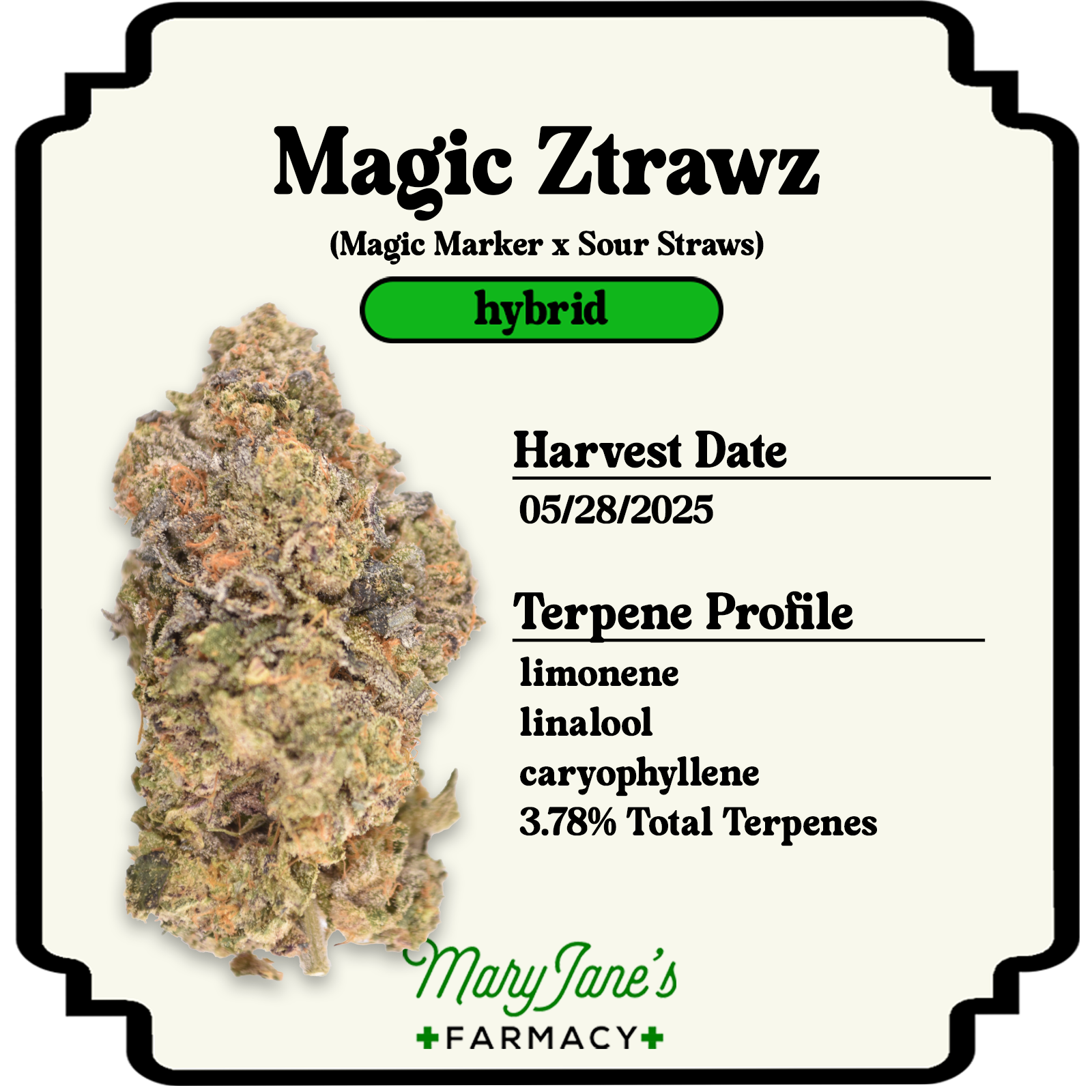 Photograph of product: Magic Ztrawz Prepackaged Eighth | 3.5g