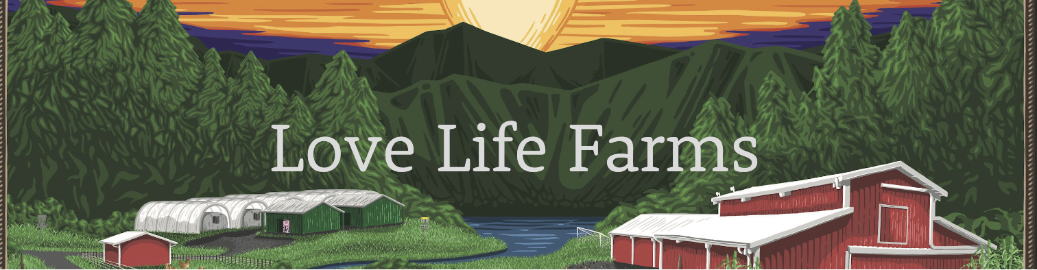 Photograph of product: LoveLife Haze | Oui'd | Love Life Farms - 28g