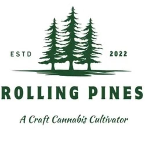 Photograph of product: Rolling Pines | Green Apple Sugar Nooks | 100mg