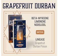Photograph of product: 0.5g - Elevate - Grapefruit Durban -E-Bar Vape