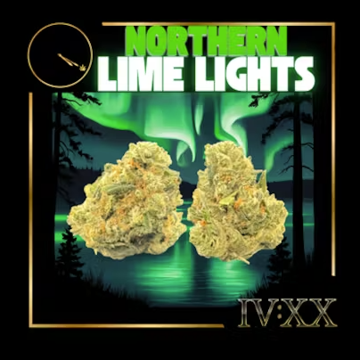 Photograph of product: Zips | Northern Lime Lights - 28g