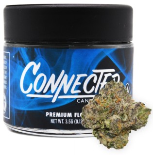 Photograph of Product: Gushers [H] - Flower - 3.5g