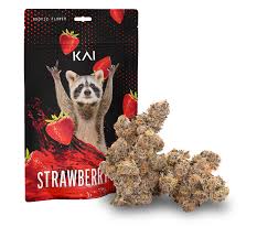 Photograph of product: Strawberry Gary Bulk (H) - 28g
