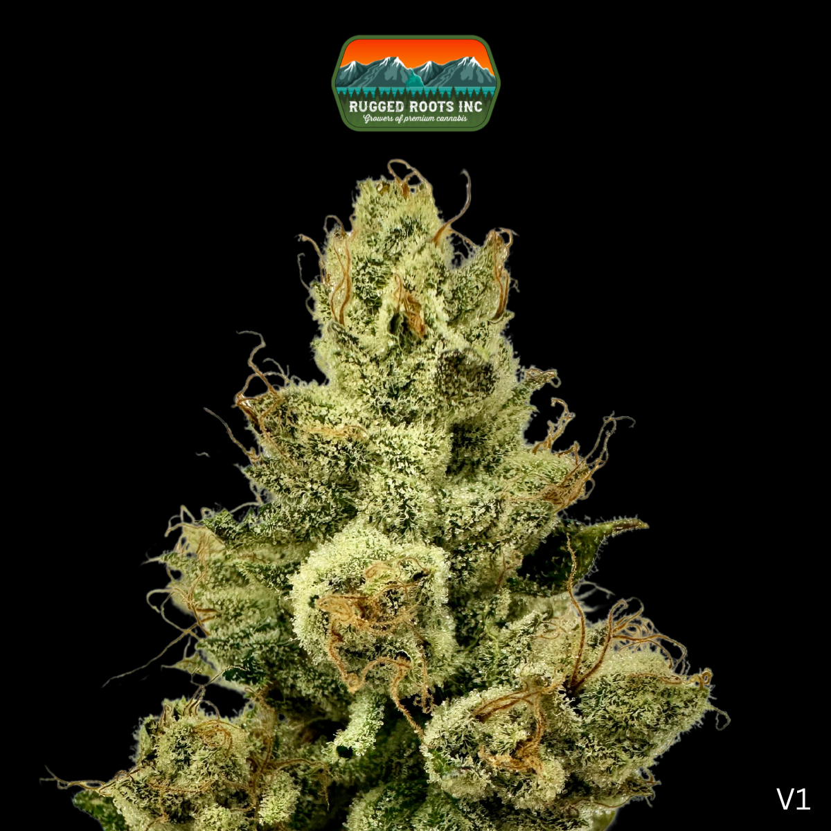 Photograph of product: Rugged Roots | Ray K 3.5g