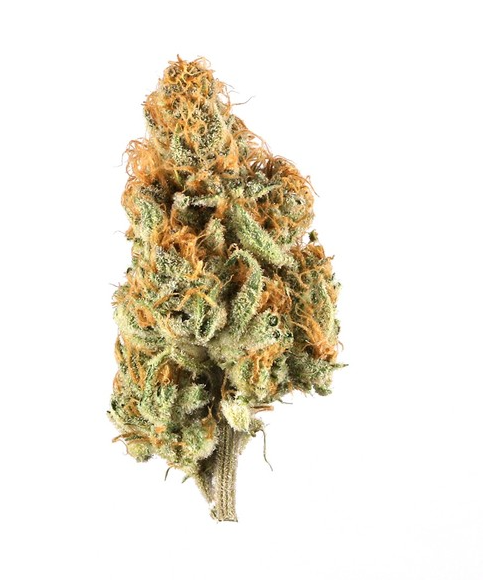 Photograph of product: 91 Octane | 3.5G (TAX INCLUDED)