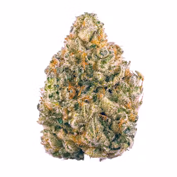 Photograph of product: Mojave | Bigfoot Glue - 1g