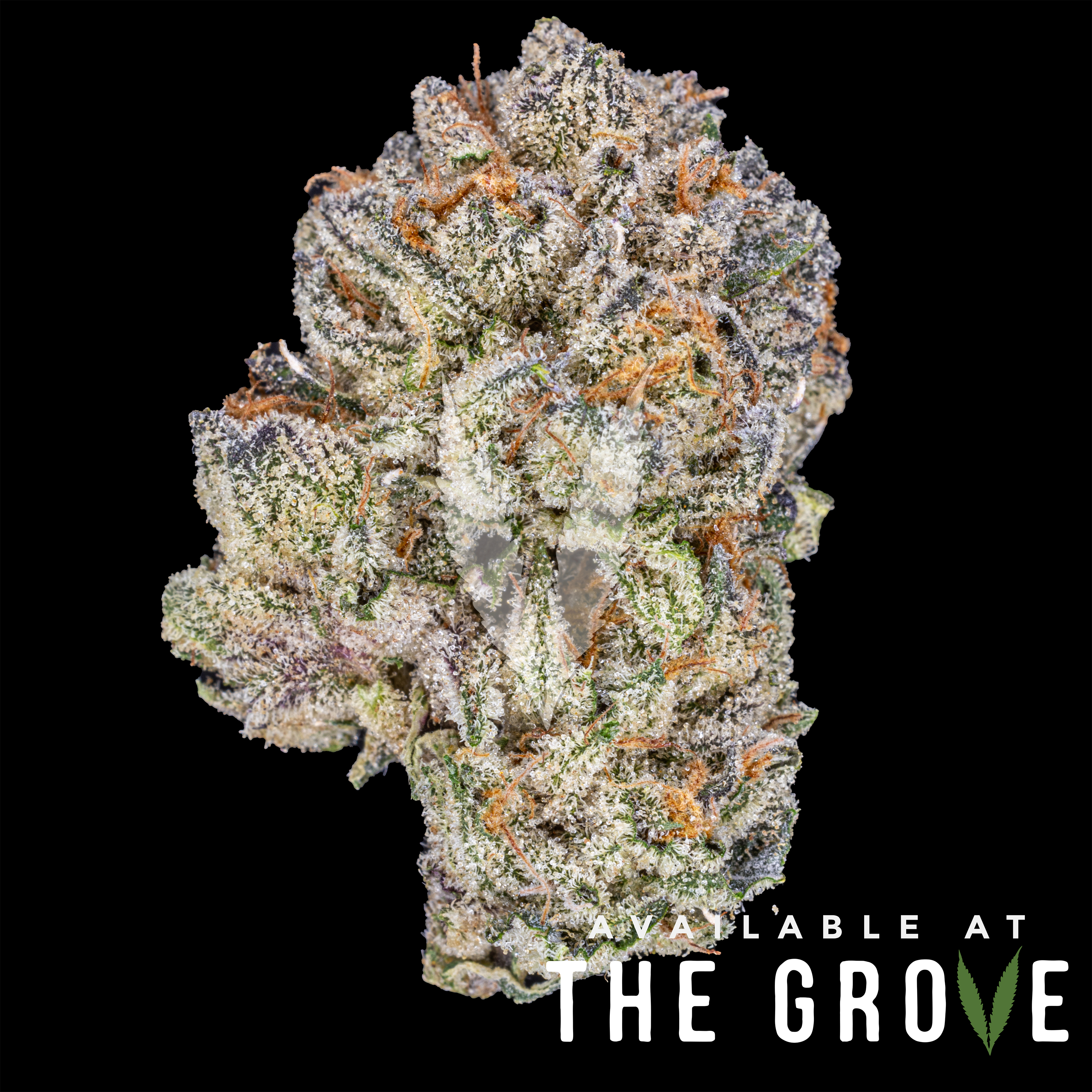 Photograph of product: Alien Labs | Gemini 1/8th - 3.5g