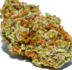 Photograph of product: MP - 2g - Sunset Sherbet #2