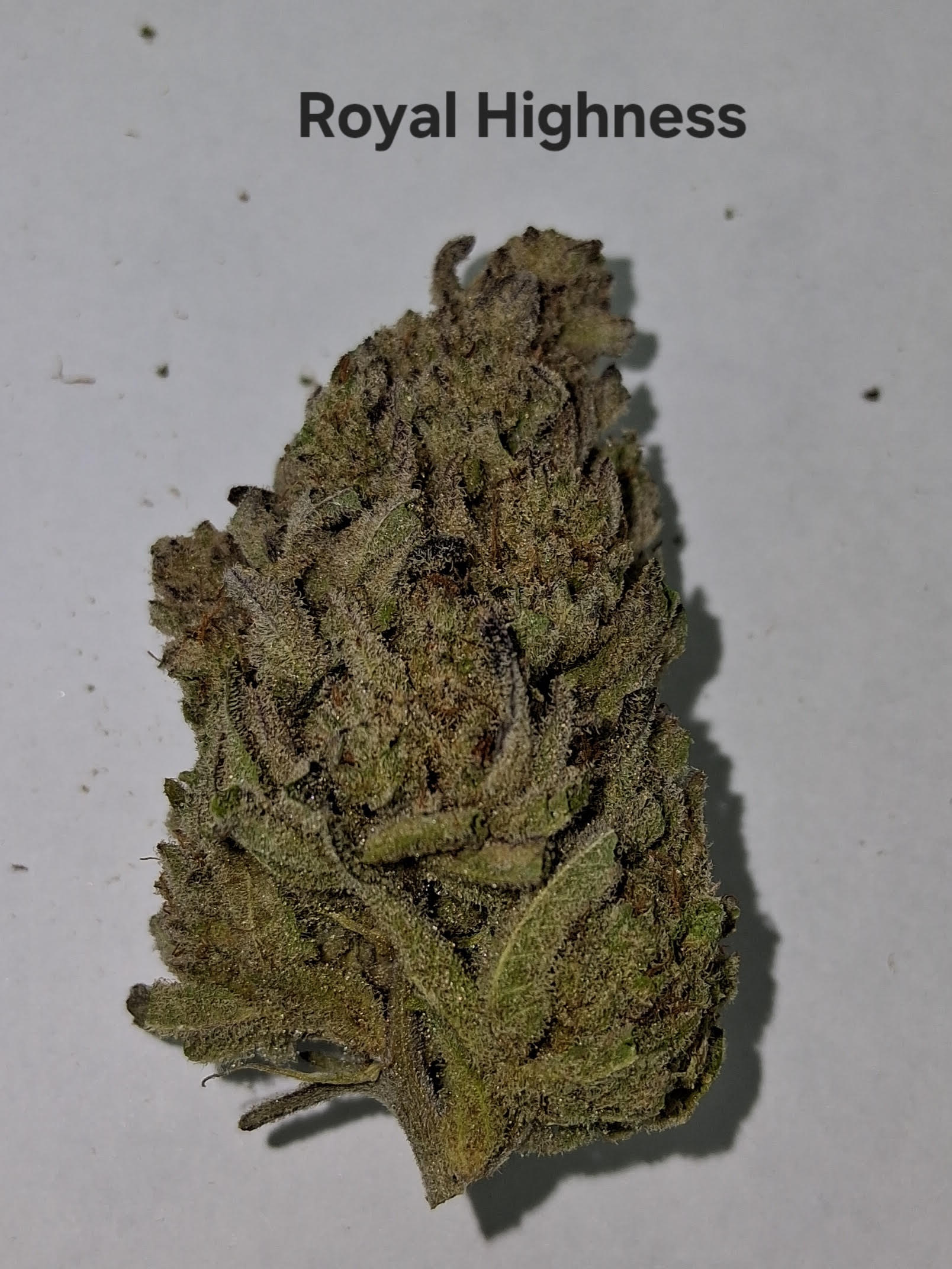Photograph of product: Royal Highness A Bud/Top Shelf-Greenway Farm - 28g