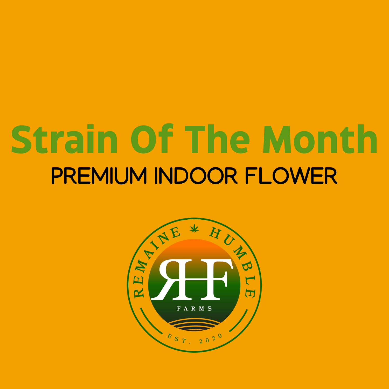 Photograph of product: Strain of The Month - Indoor Flower - 3.5g