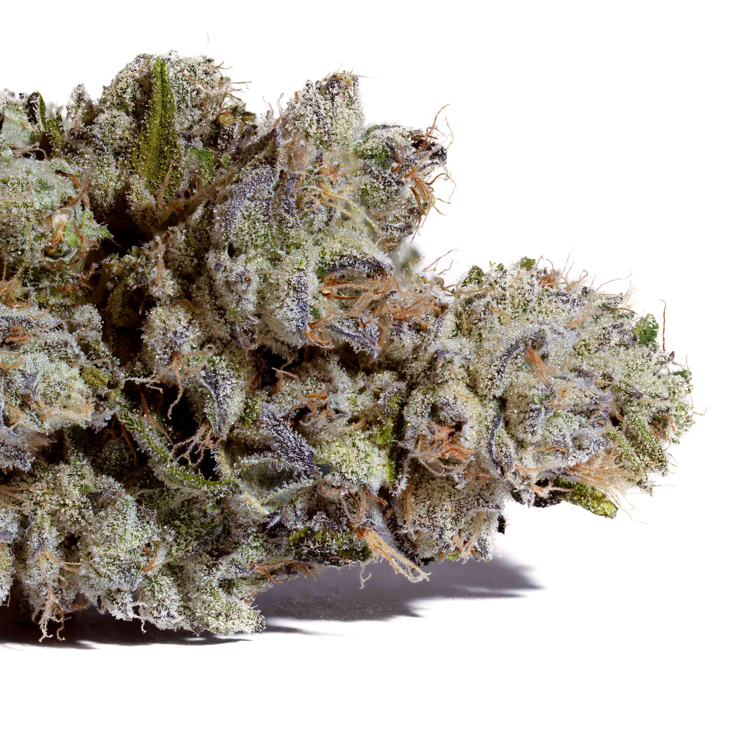 Photograph of product: Creekside Farms | Bulk Flower | Motorboat - 28g