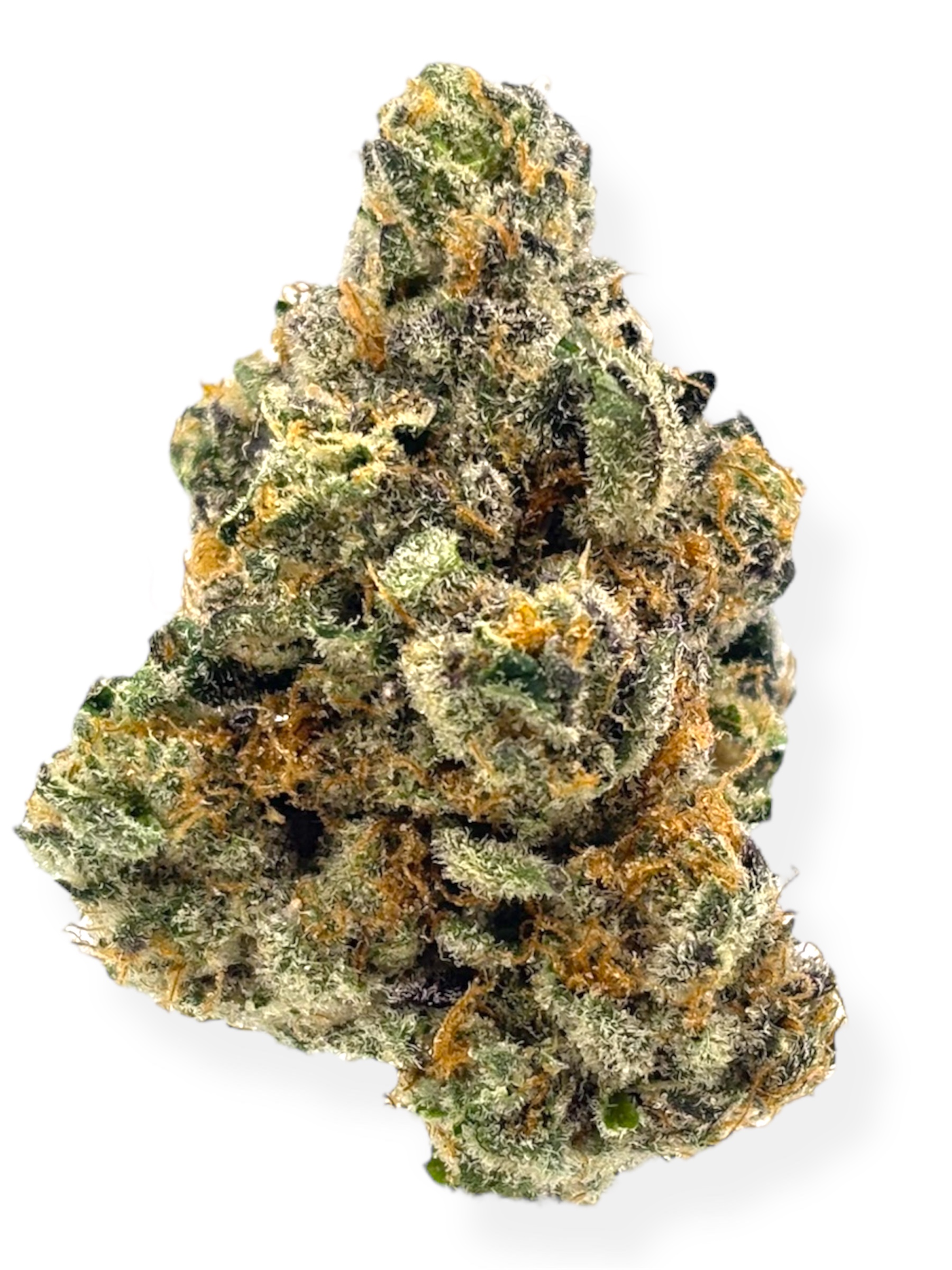 Photograph of product: Pro Gro Apple Tart Rec - 70g