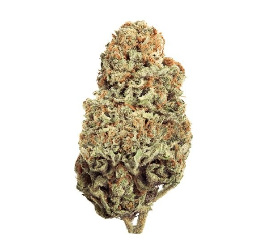 Photograph of product: Critical Flower - 3.5g