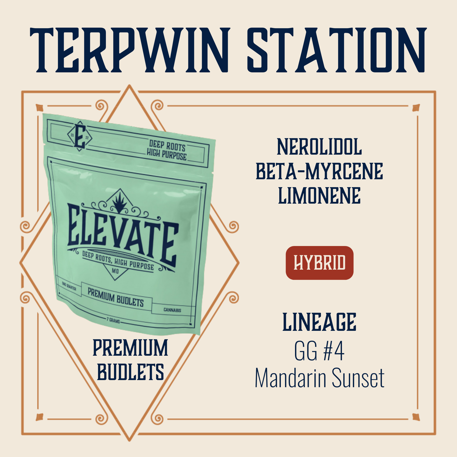 Photograph of product: Terpwin Station Budlets | 7g