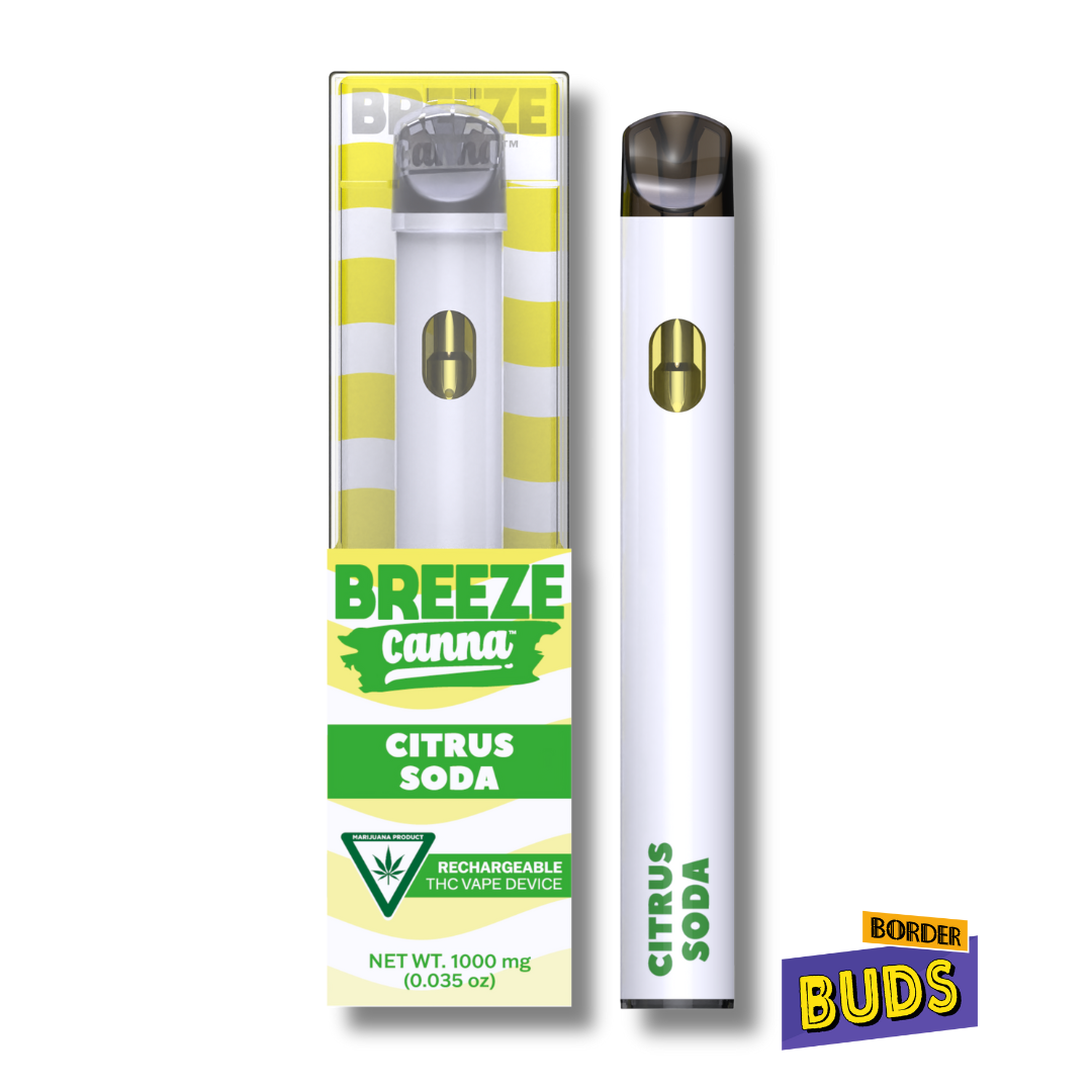 Photograph of product: Citrus Soda | Breeze Canna | 1g | Disposable