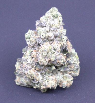 Photograph of product: Florida Pie - Buds - 3.5g