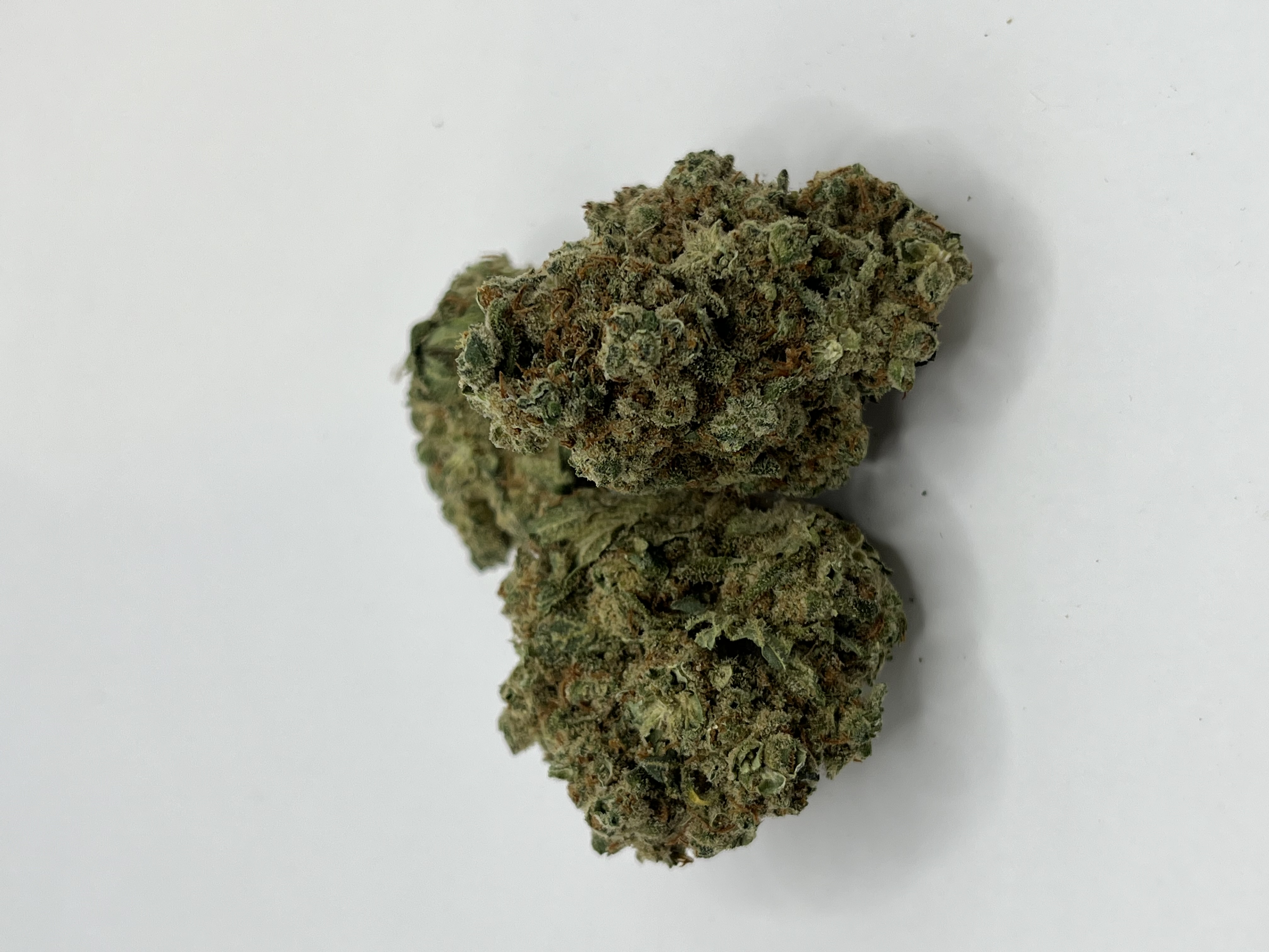 Photograph of Product: Platinum Shelf - Blue Dream (H) - 1g